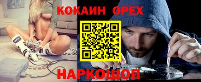 сатива Тверь